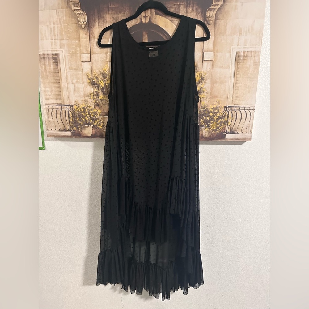 ⚫️Zadie Bs Elegant dot mesh Dress⚫️ - Picture 2 of 6